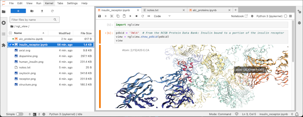 JupyterLab 笔记本编辑器，打开的笔记本显示胰岛素受体的交互视图