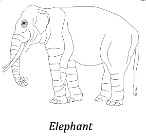 一只大象的线条画。