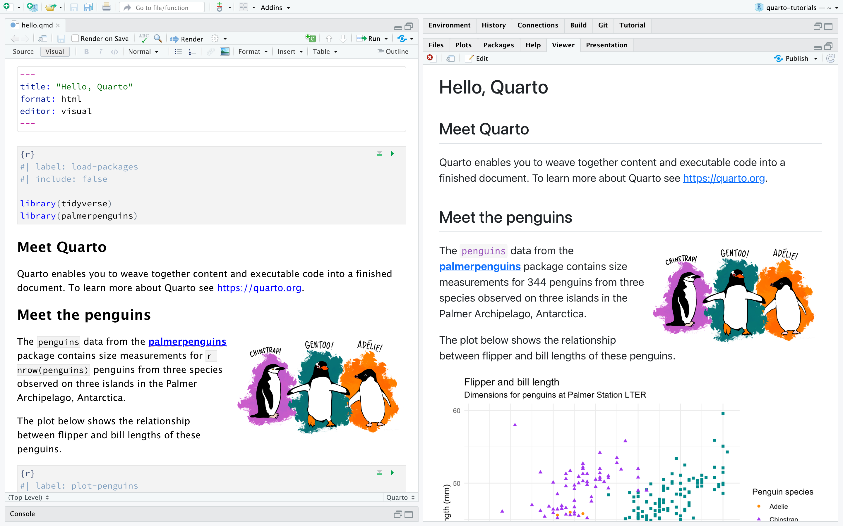 RStudio 中打开了一个标题为“企鹅，认识 Quarto！”的 Quarto 文档，左侧是文档，右侧是渲染版本。