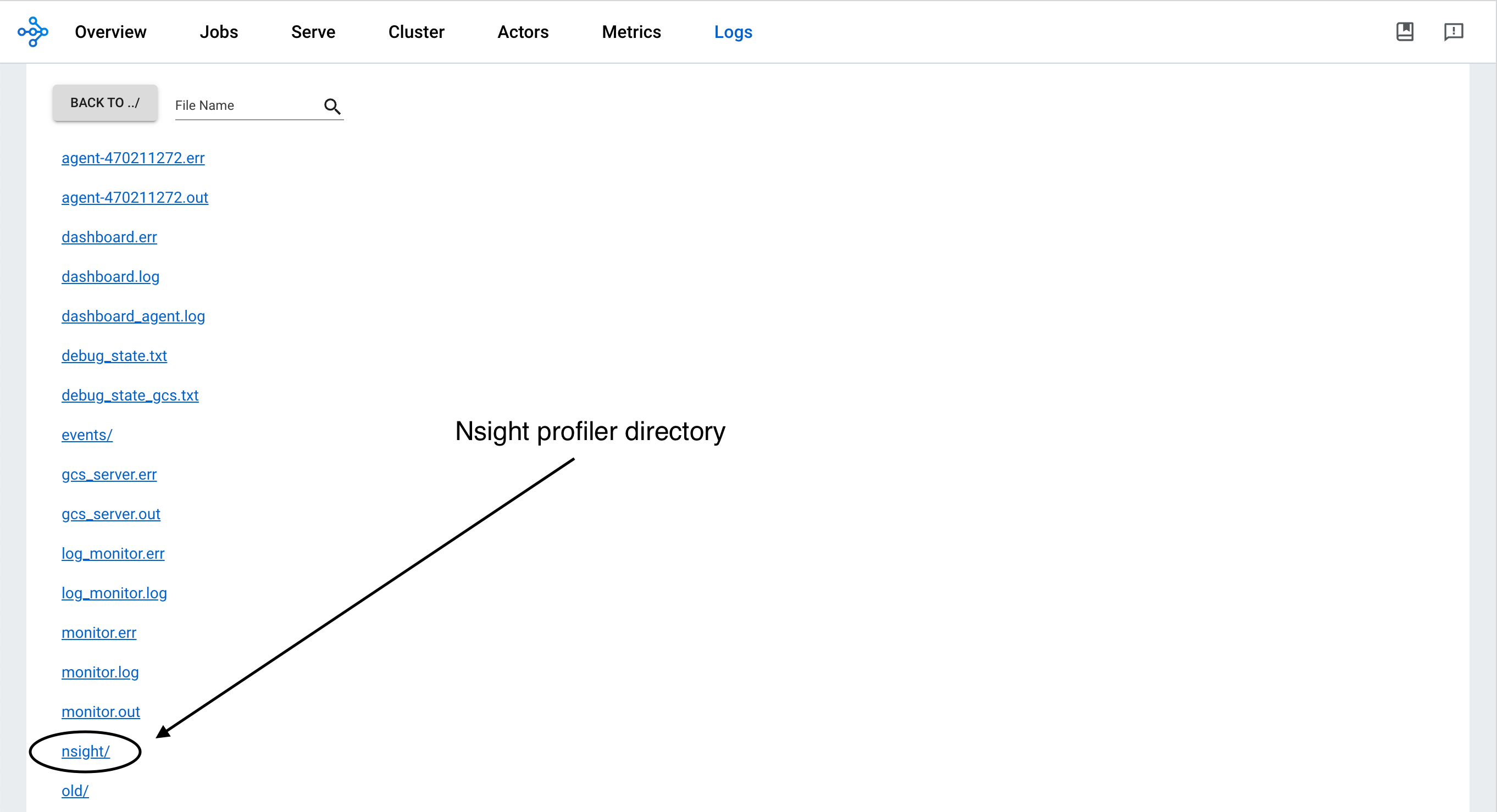 Nsight System Profiler 文件夹