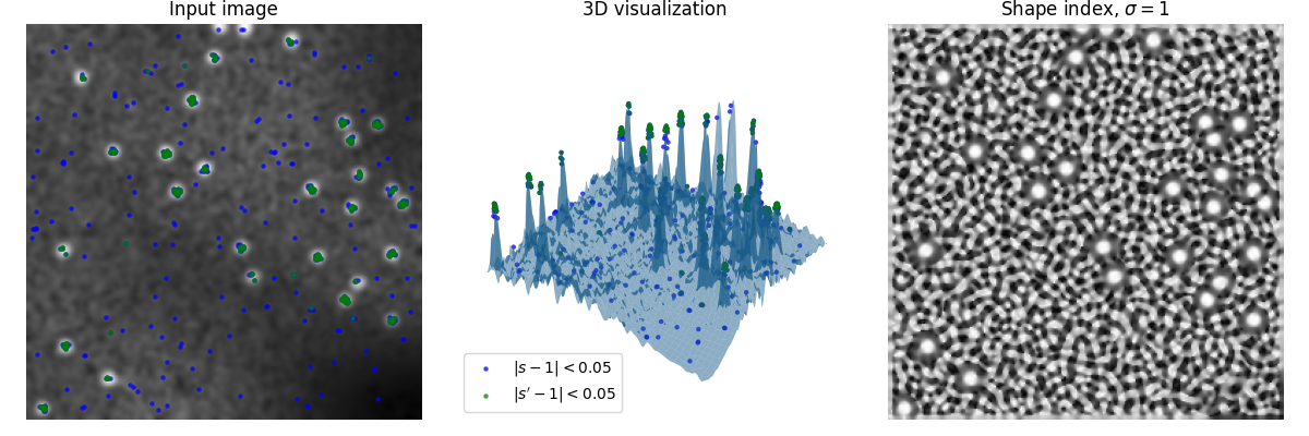 Input image, 3D visualization, Shape index, $\sigma=1$