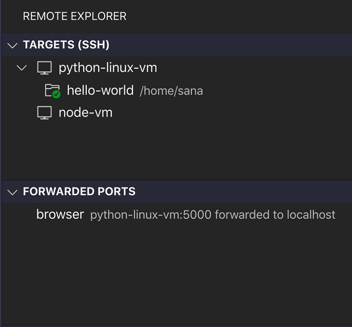 连接到python-linux-vm主机