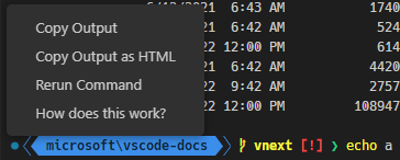 点击成功的命令装饰会显示一个包含以下项目的上下文菜单：复制输出、复制输出为HTML、重新运行命令以及这是如何工作的？