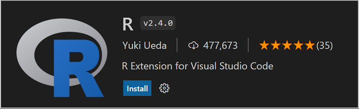 Visual Studio Code 的 R 扩展详情面板