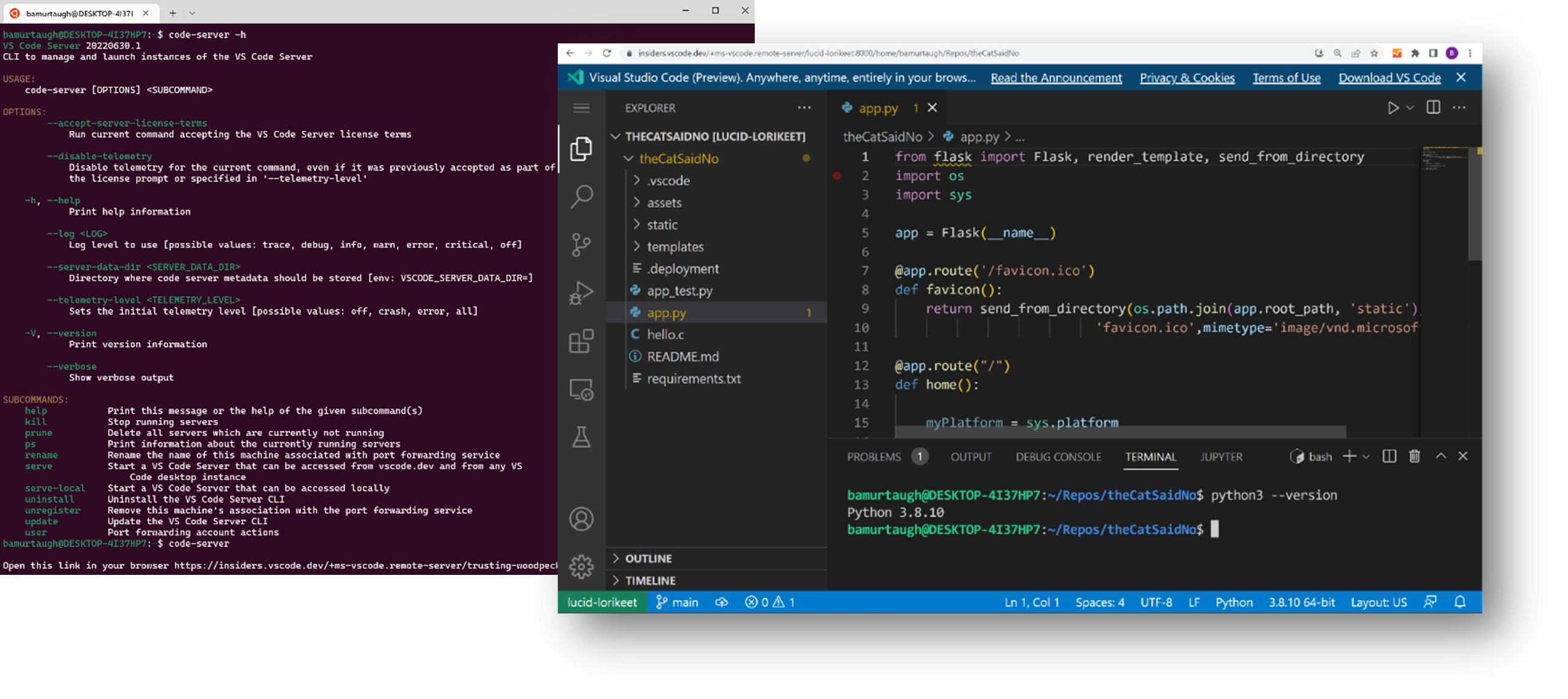 VS Code 服务器的帮助菜单和远程 VS Code 连接